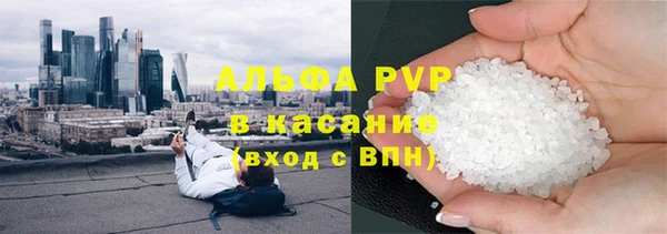 шишки Алзамай