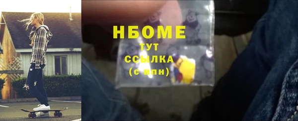 сатива Новодвинск