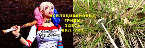 кокс Алексеевка