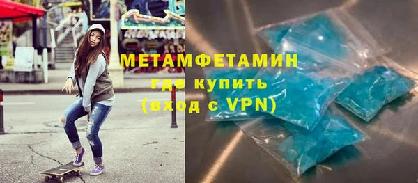 сатива Новодвинск